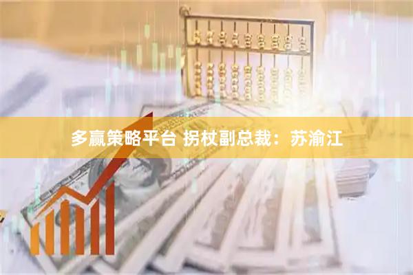 多赢策略平台 拐杖副总裁：苏渝江